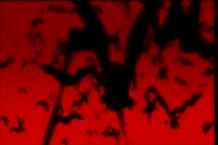 [Tsukyio Editing Resources] Hellsing (Episode 7) Raw Clips (247) (tsukyio.com).mp4
